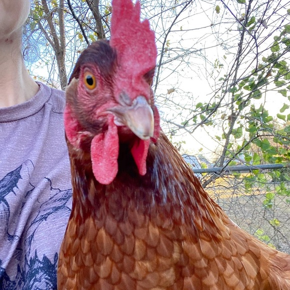 Meet your Posher, Jaime - Picture 9 of 16